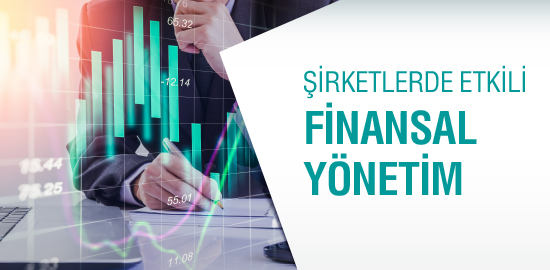 Şirketlerde Etkili Finansal Yönetim